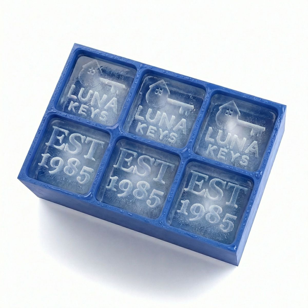 Stand Out at Settlement — Custom Logo & Est. Date Ice Cubes for Real Estate - Chilled Out Creations